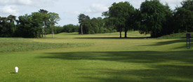 tee1