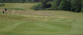 tee13