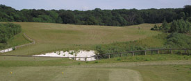 tee15