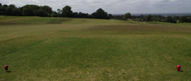 tee6
