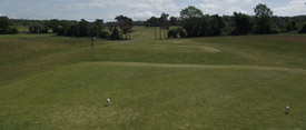 tee8